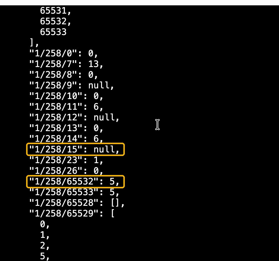 Auszug aus den Matter-Server-Daten des Shelly: Attribut 1/258/15 ist null, Attribut 1/258/65532 hat den Wert 5